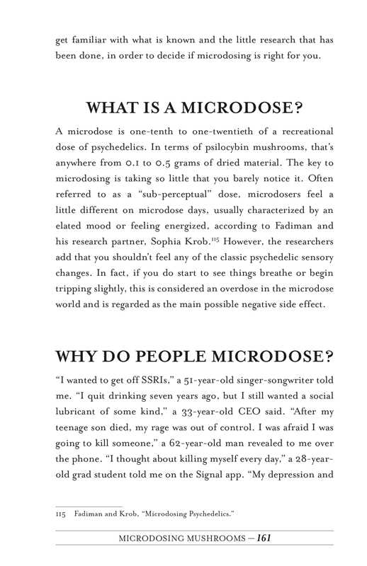 Your Psilocybin Mushroom Companion by Michelle Janikian - Image 9