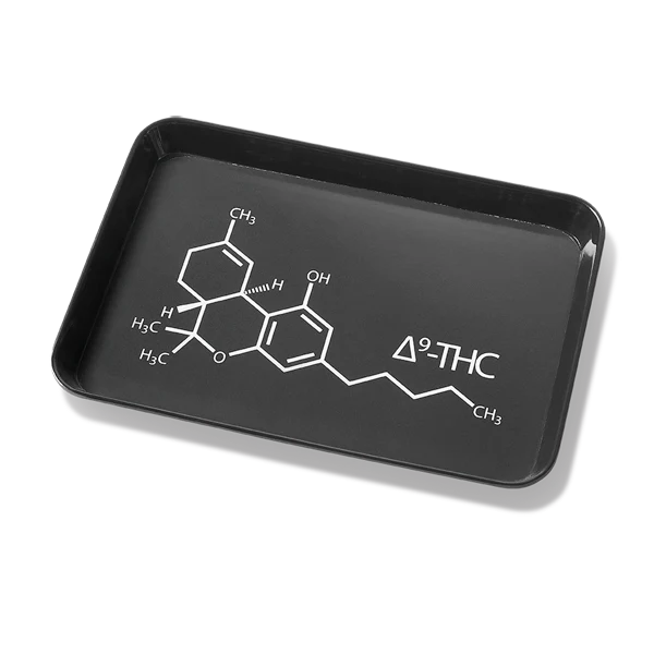 Small Trinket Tray • Equation