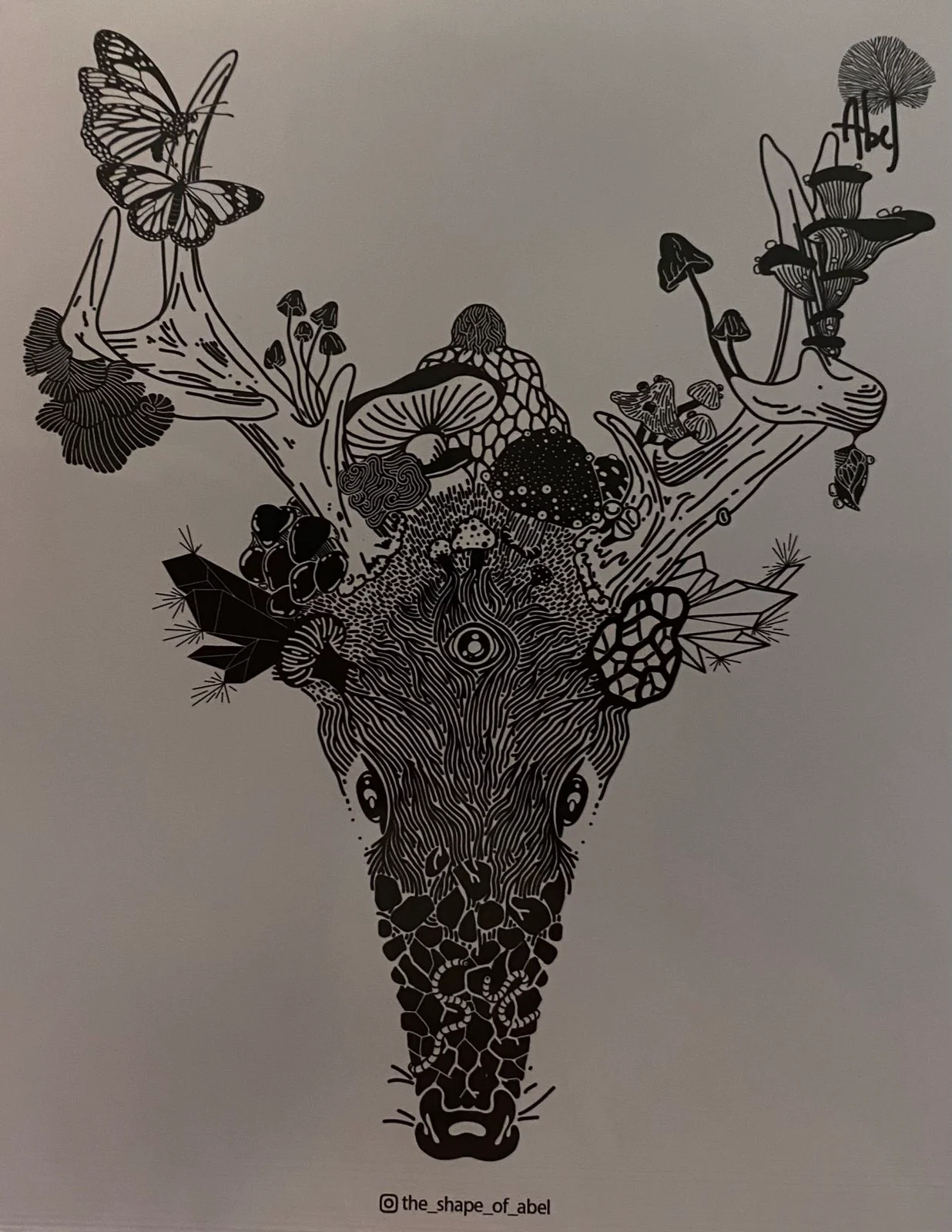 @the_shape_of_abel Prints - Image 3
