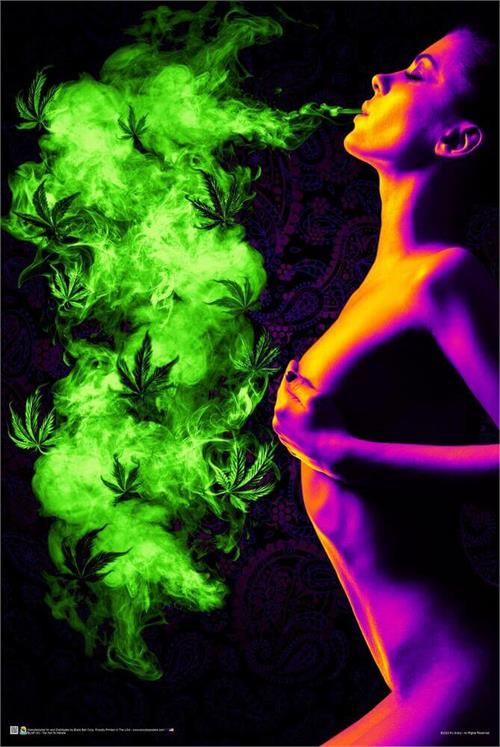 Too Hot to Handle Non Flocked Blacklight Poster
