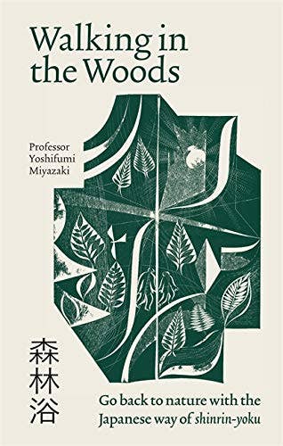Walking in the Woods: The Japanese Way of Shinrin-Yoku - Image 4