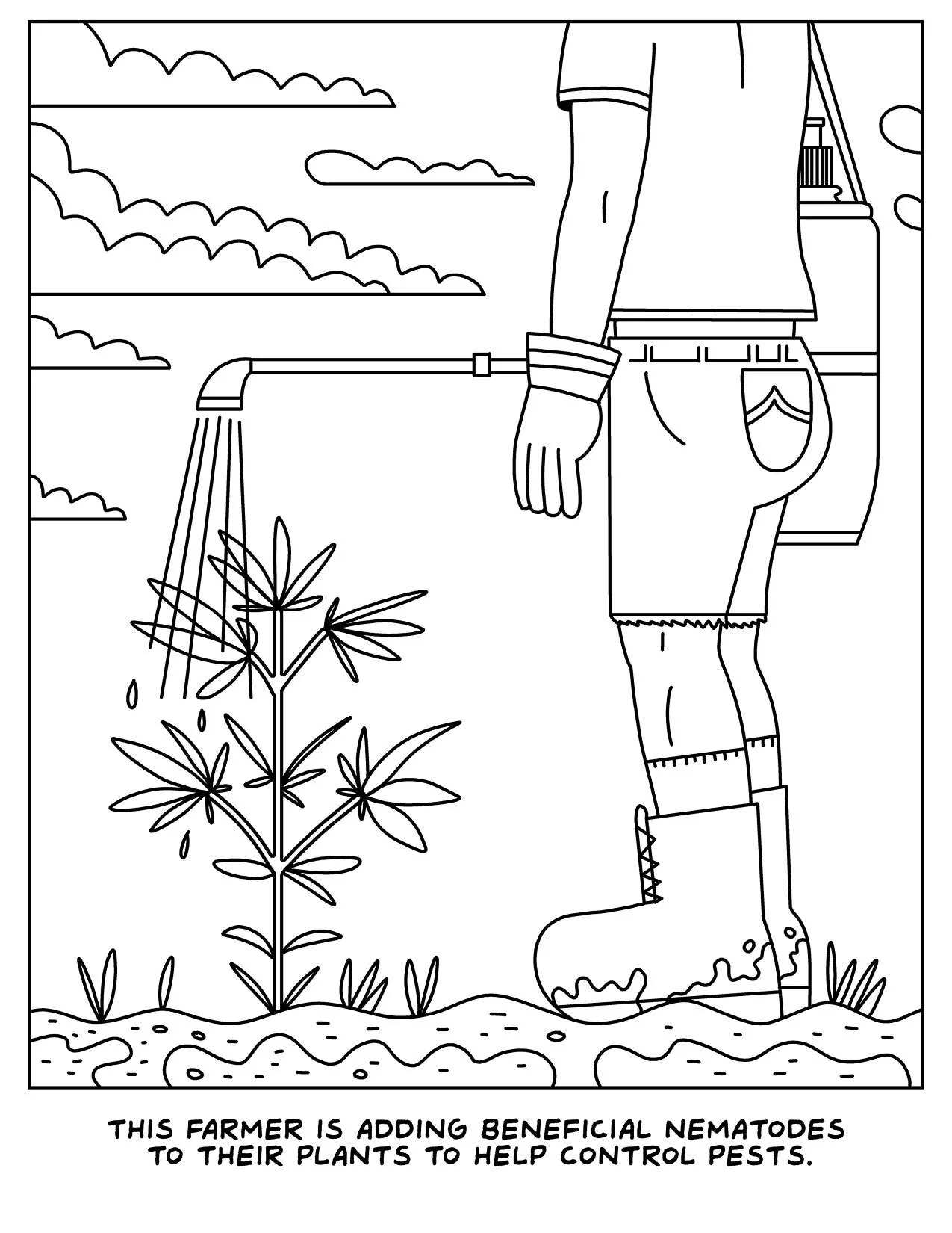 Wood Rocket Products - A Visit to the Cannabis Farm Coloring Book, CB-034 - Image 2