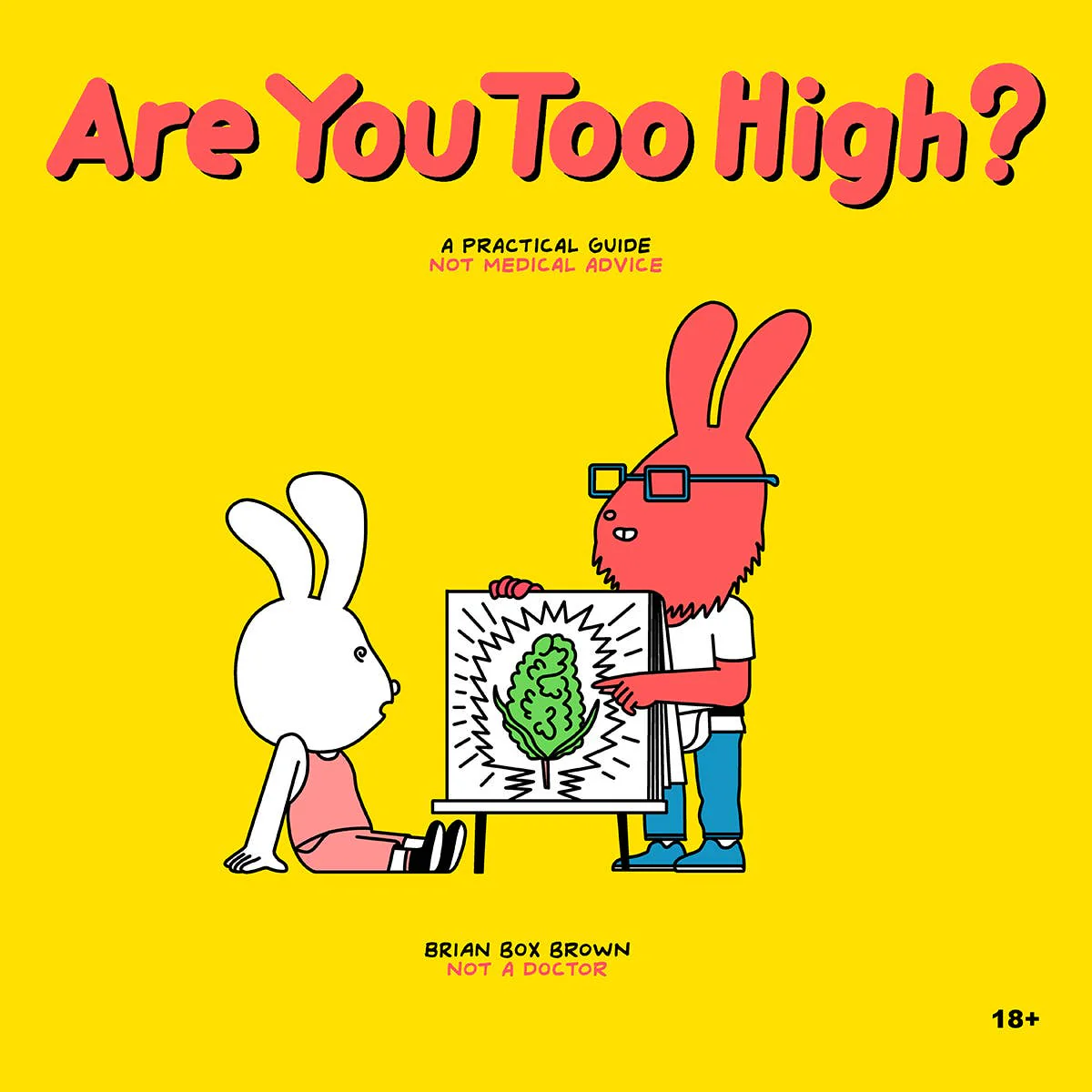 Wood Rocket Products - Are You Too High? Adult Storybook, STR-004