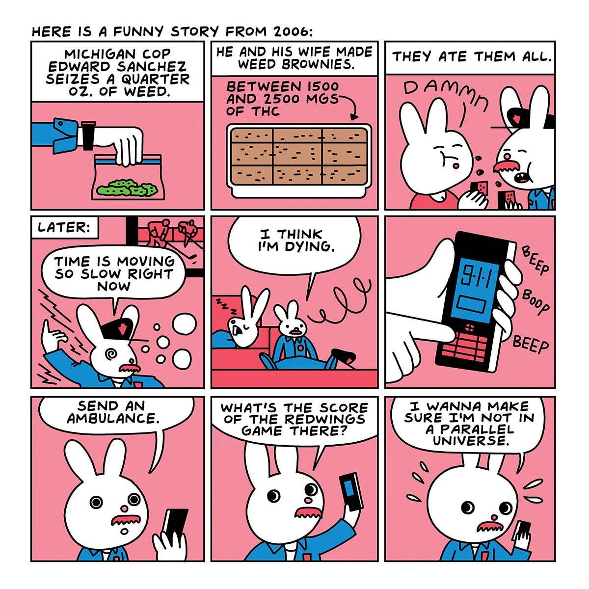 Wood Rocket Products - Are You Too High? Adult Storybook, STR-004 - Image 2